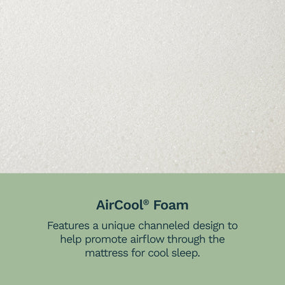BeautySleep Canada - "Erling"